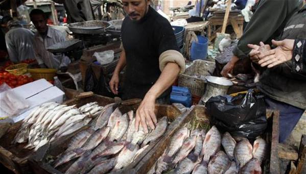 العطار يؤكد حاجة الثروة السمكية لتنمية اقتصادية.. ويحذر من الأسماك المفترسة